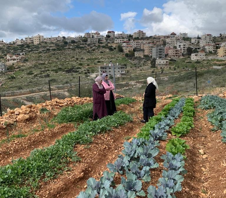 We win CoPower funding to support Palestinian women cooperatives with solar energy